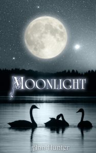 moonlilght